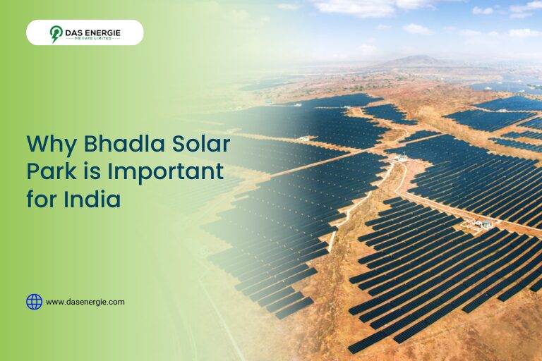 bhadla solar park is important for india