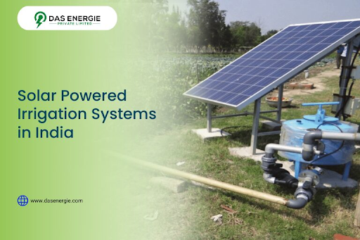 solar powered irrigation system